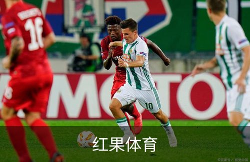 走进红果体育